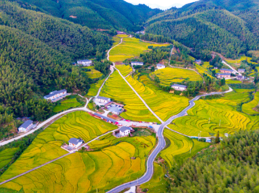 《贛粵風情》中國三大梯田奇觀之一「上堡梯田」、國家4A級風景區「丫山風景區」水雲間天空之鏡、臥龍穀瀑布群、A哆森林、A哆鄉村 【客家獅子頭+客家鹽焗雞宴】贛州美景純玩4天團 《贛粵風情》中國三大梯田奇觀之一「上堡梯田」、國家4A級風景區「丫山風景區」水雲間天空之鏡、臥龍穀瀑布群、A哆森林、A哆鄉村 【客家獅子頭+客家鹽焗雞宴】贛州美景純玩4天團