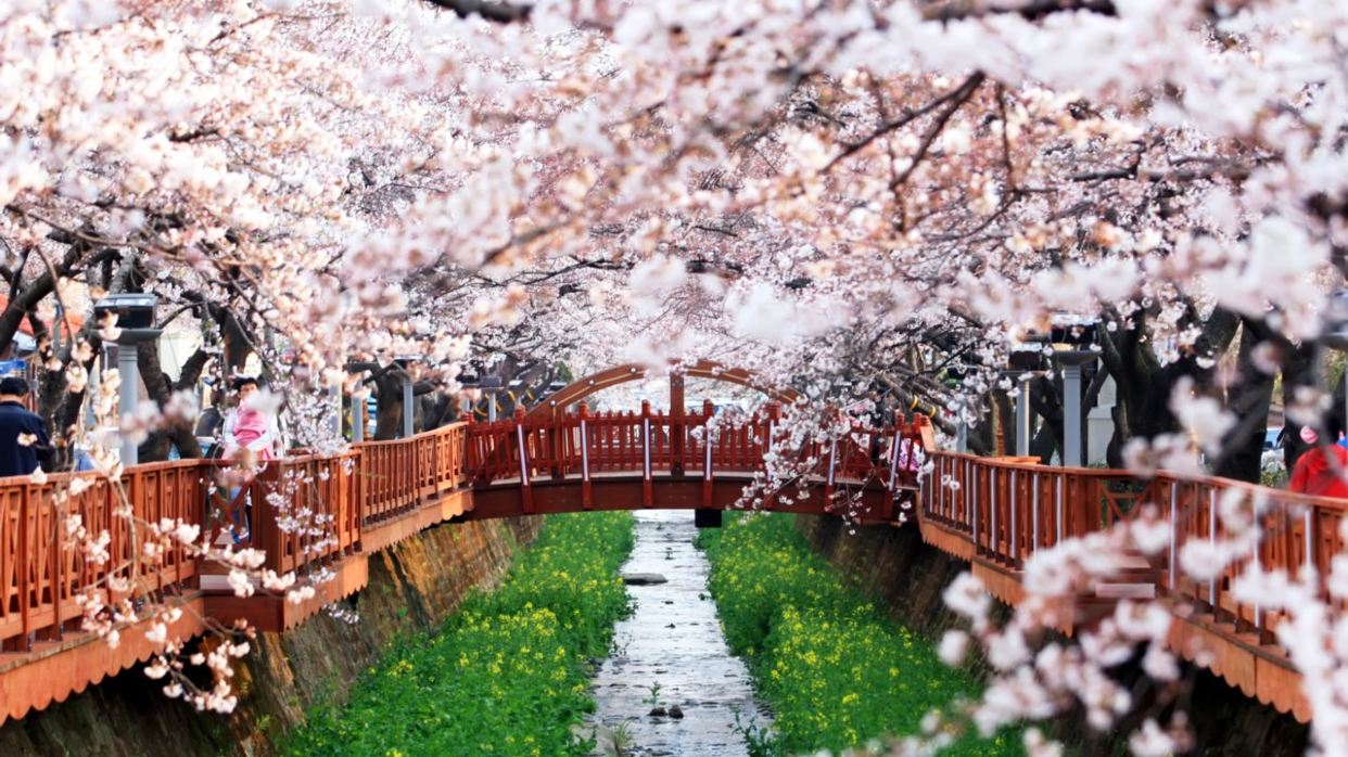 余左川羅曼史之橋