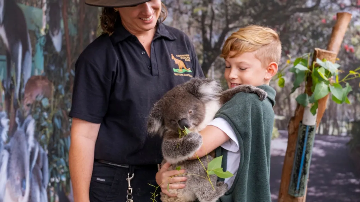 卡弗沙姆野生動物園