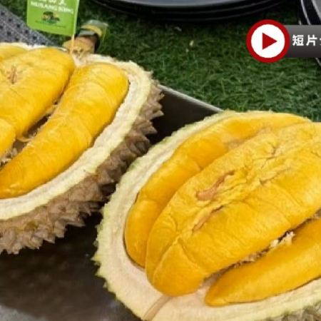 《季節限定 榴槤任食》吉隆坡+吉膽島 度假美食 榴槤任食5天團 【不設自費加遊】狄臣港 Lexis Hibiscus Port Dickson大紅花豪華海上度假村+3晚吉隆坡國際品牌五星級酒店