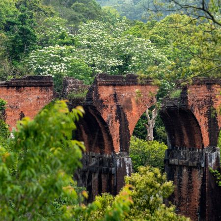 台中+南投賞紅葉銀杏+苗栗 舊山線Rail Bike美景7天團 日月潭國家風景區(包遊湖船)-杉林溪 (包乘坐遊園車前往「松瀧部落」)  *再減$160 憑指定中銀咭推廣碼 《BOC160A2》