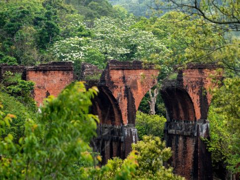 台中+南投+苗栗 舊山線Rail Bike美景7天團 日月潭國家風景區(包遊湖船)-杉林溪 (包乘坐遊園車前往「松瀧部落」) *勁減-$160憑中銀合資格信用咭付款 推廣碼【BOC160A2】