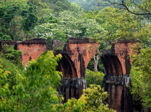 台中+南投+苗栗 舊山線Rail Bike美景7天團 日月潭國家風景區(包遊湖船)-杉林溪 (包乘坐遊園車前往「松瀧部落」) *勁減-$160憑中銀合資格信用咭付款 推廣碼【BOC160A2】
