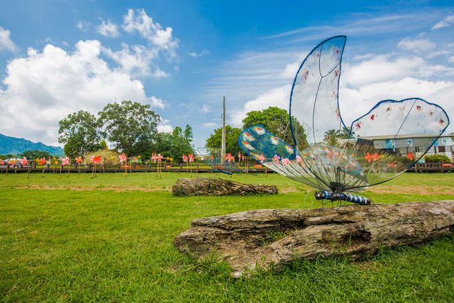 大農大富平地森林園區