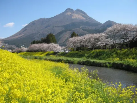 由布院溫泉街