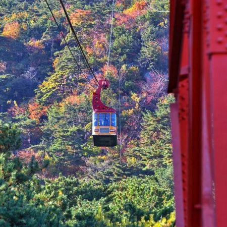 慶州+釜山6天秋色之旅 ※「UNESCO世界文化遺產」佛國寺、慶州歷史遺址區~月精橋、大陵苑、東宮與月池、皇里團路、金井山梵魚寺、金剛公園+纜車、東萊邑城址