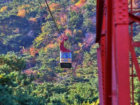 慶州+釜山6天秋色之旅 ※「UNESCO世界文化遺產」佛國寺、慶州歷史遺址區~月精橋、大陵苑、東宮與月池、皇里團路、金井山梵魚寺、金剛公園+纜車、東萊邑城址 慶州+釜山6天秋色之旅 ※「UNESCO世界文化遺產」佛國寺、慶州歷史遺址區~月精橋、大陵苑、東宮與月池、皇里團路、金井山梵魚寺、金剛公園+纜車、東萊邑城址