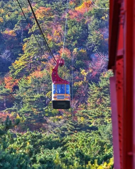 慶州+釜山6天秋色之旅 ※「UNESCO世界文化遺產」佛國寺、慶州歷史遺址區~月精橋、大陵苑、東宮與月池、皇里團路、金井山梵魚寺、金剛公園+纜車、東萊邑城址