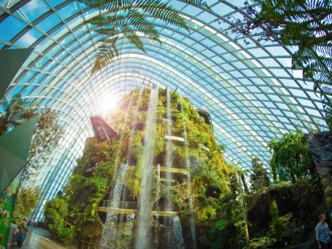 Gardens by the Bay濱海灣花園~ Cloud Forest