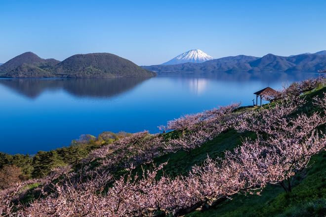 洞爺湖春