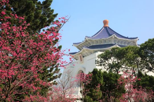 中正紀念堂賞櫻
 (2月中至3月下旬)預計花期僅供參考(註17)
