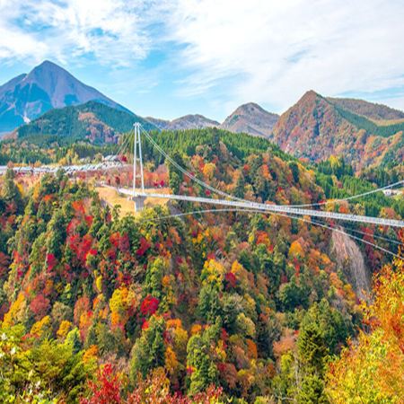 九州  秋楓美景+ J1甲級聯賽  6天溫泉之旅  日足魅力：J1聯賽熱血賞楓之旅！「賞紅葉名所」九重夢吊橋、由布院花卉村、夢幻湖泊~金鱗湖、稻佐山展望台(乘玻璃列車/登山纜車)