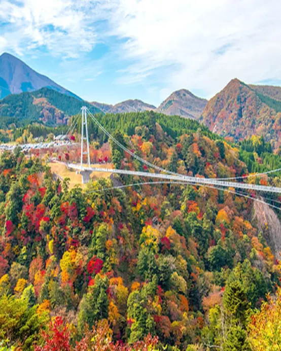 九州 秋楓美景+ J1甲級聯賽 6天溫泉之旅 日足魅力:J1聯賽熱血賞楓之旅!「賞紅葉名所」九重夢吊橋、由布院花卉村、夢幻湖泊~金鱗湖、稻佐山展望台(乘玻璃列車/登山纜車)