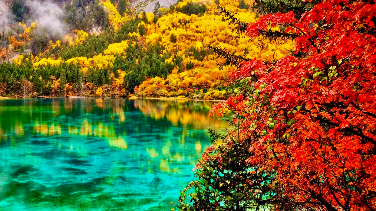 九寨溝五花海秋景