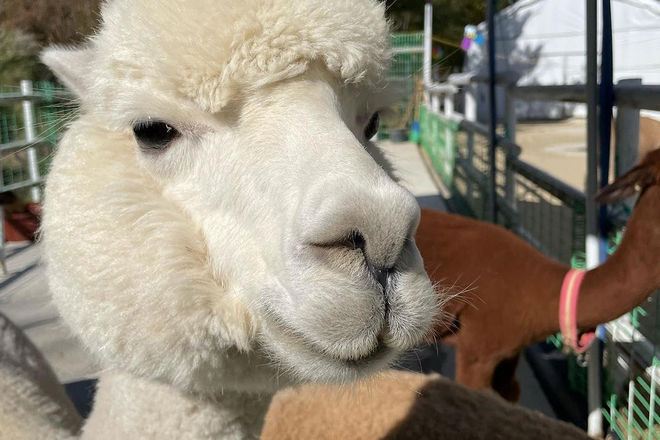 Ani-Fore 休閒空間