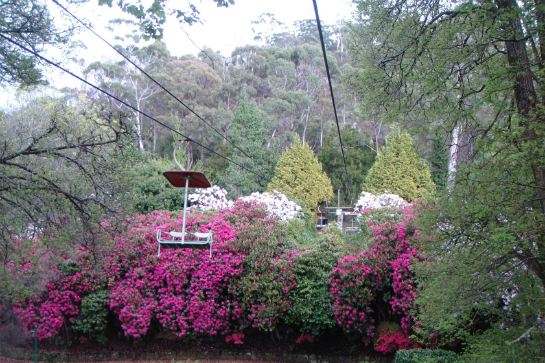 卡德奈特峽谷單軌吊椅