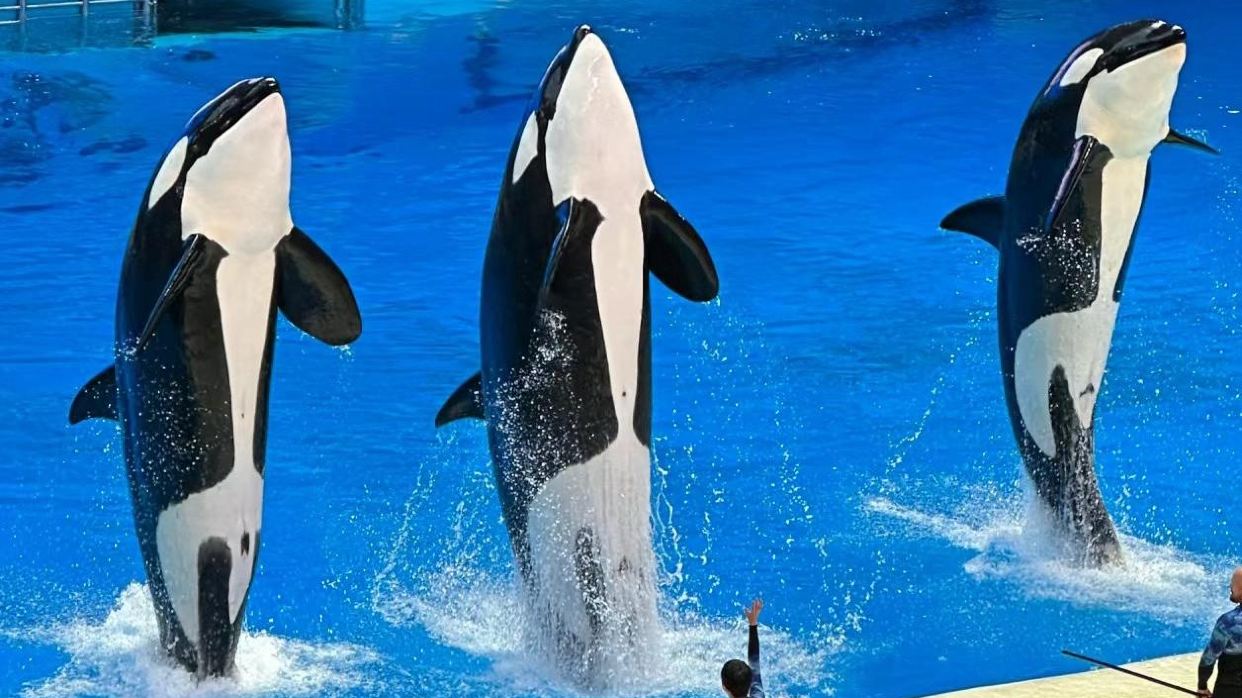 珠海橫琴宇宙飛船