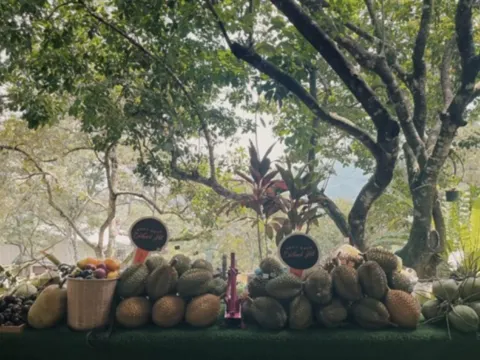 果園~ Orchard Hill