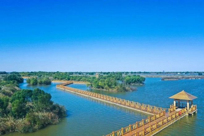 黃河口生態旅遊區