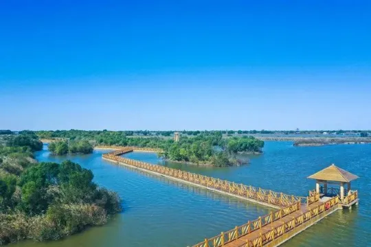 黃河口生態旅遊區