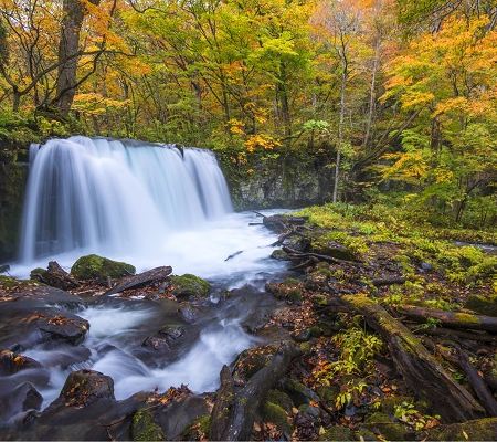 栃木、宮城、青森、岩手 秋の風物詩7天溫泉之旅  紅葉名所「世界文化遺產」日光東照宮、五色沼、」嚴美溪、 弘前城、奧入瀨溪流