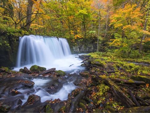 栃木、宮城、青森、岩手 秋の風物詩7天溫泉之旅  紅葉名所「世界文化遺產」日光東照宮、五色沼、」嚴美溪、 弘前城、奧入瀨溪流