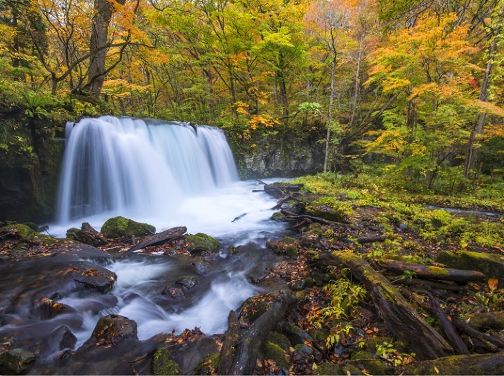 栃木、宮城、青森、岩手 秋の風物詩7天溫泉之旅  紅葉名所「世界文化遺產」日光東照宮、五色沼、」嚴美溪、 弘前城、奧入瀨溪流