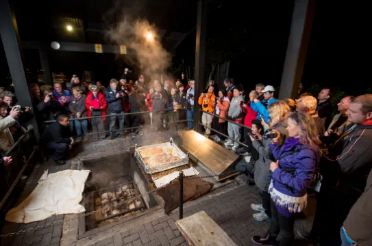 蒂普瓦毛利文化及地熱保護區