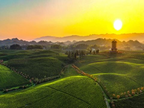 湄潭中國茶海景區