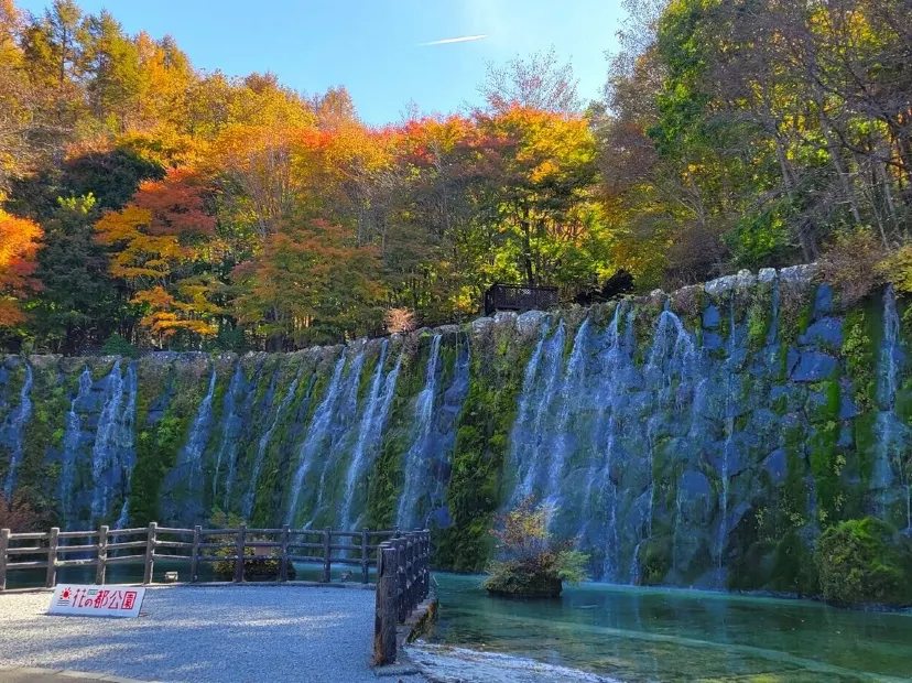 山中湖花之都公園~清流之里