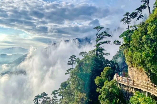 莽山五指峰景區