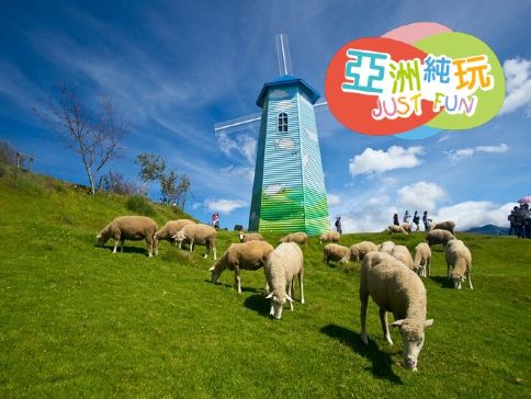 台中+日月潭包船遊湖+清境 5天美景【純玩團】伊達邵老街、清境農場、青青草原｜不設指定購物點 