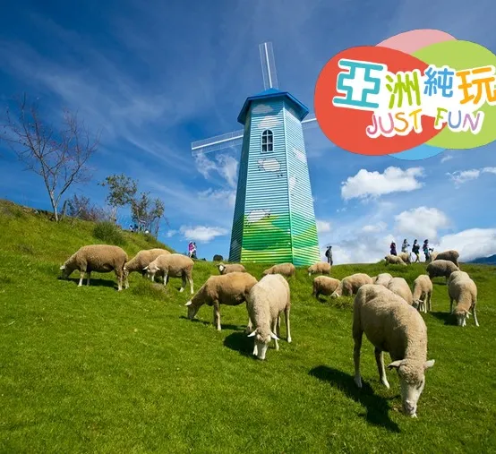 台中+日月潭包船遊湖+清境 5天美景【純玩團】伊達邵老街、清境農場、青青草原