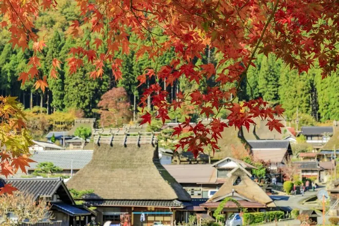 美山町矛屋