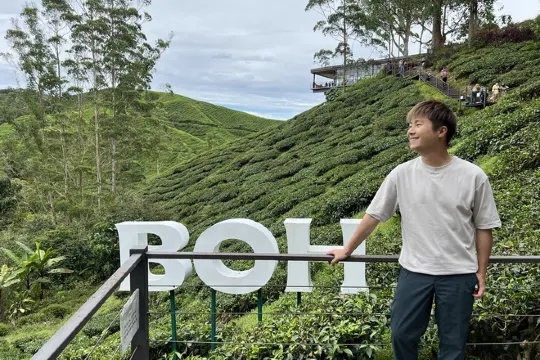 金馬崙高原茶園