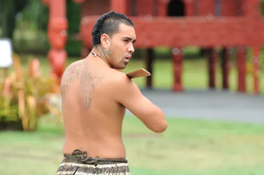 蒂普瓦毛利文化及地熱保護區享用傳統晚餐(高成本)