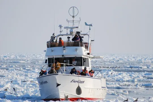 羅臼流冰生態觀光船