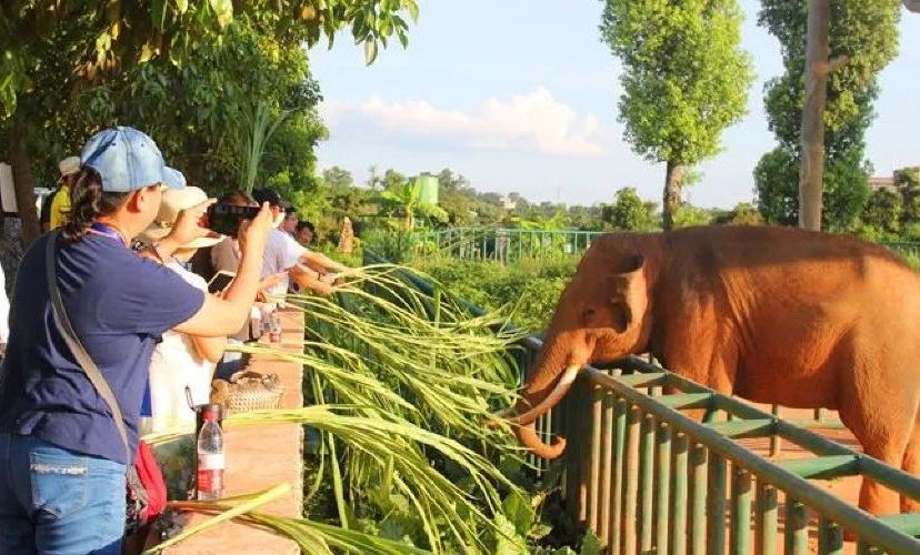 平南雄森動物大世界