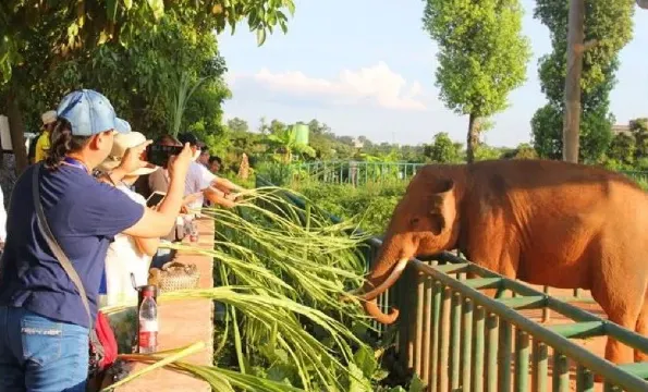 平南雄森動物大世界