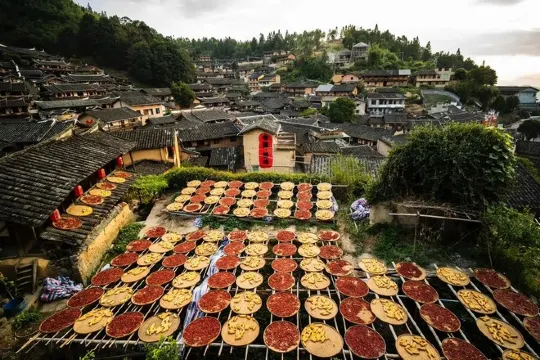 桂峰古村落~曬秋