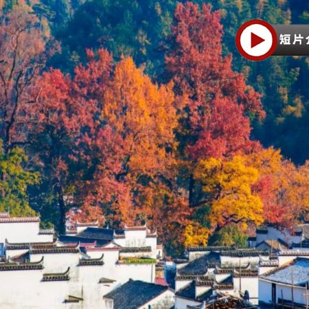🍁 秋色江西‧人間仙境~景德鎮、婺源、撫州、南昌4天純玩高鐵團🍁人氣賞楓勝地~婺源石城、篁嶺曬秋、鳳凰溝賞紅楓及銀杏、陶溪川文創街區、陶陽里御窯、御窯博物館、文昌里歷史文化街區、弦高古城‧西湖氹