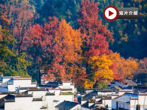 🍁 秋色江西‧人間仙境~景德鎮、婺源、撫州、南昌4天純玩高鐵團🍁人氣賞楓勝地~婺源石城、篁嶺曬秋、鳳凰溝賞紅楓及銀杏、陶溪川文創街區、陶陽里御窯、御窯博物館、文昌里歷史文化街區、弦高古城‧西湖氹 🍁 秋色江西‧人間仙境~景德鎮、婺源、撫州、南昌4天純玩高鐵團🍁人氣賞楓勝地~婺源石城、篁嶺曬秋、鳳凰溝賞紅楓及銀杏、陶溪川文創街區、陶陽里御窯、御窯博物館、文昌里歷史文化街區、弦高古城‧西湖氹