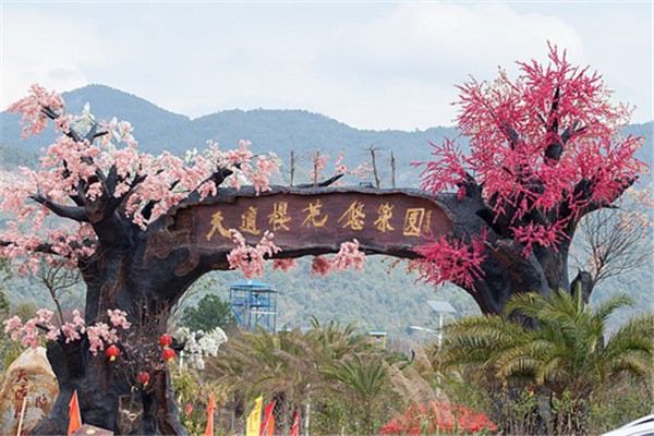 天適櫻花悠樂園