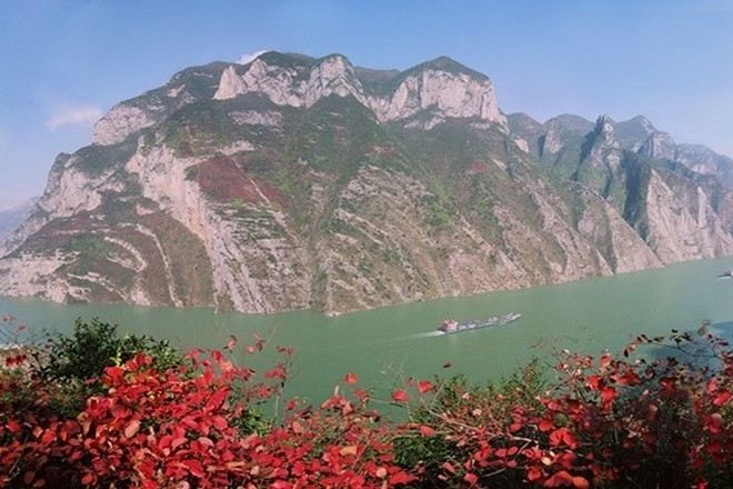 三峽紅葉
