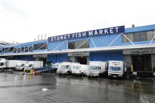 悉尼漁人碼頭
