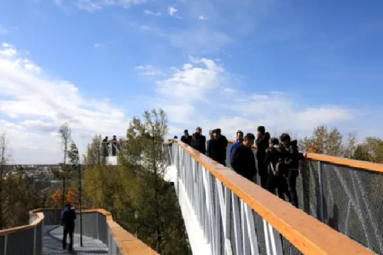 美人松空中廊橋公園