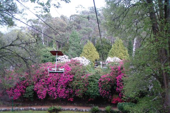 卡德奈特峽谷吊椅