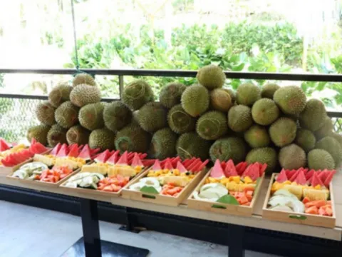 人氣果園~ Orchard Hill