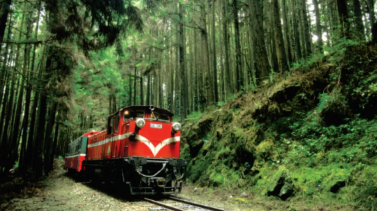 阿里山森林小火車