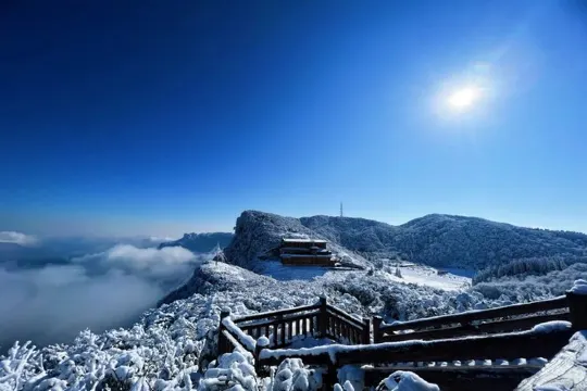 金佛山國家森林公園